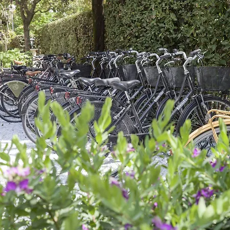 Hotel Franceschi Forte dei Marmi
